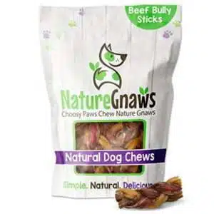 Nature Gnaws Braided Bully Stick Bites for Small Dogs - Premium Natural Beef Bones - Bite Sized Dog Chew Treats for Light Chewers - Rawhide Free - 2-3 Inch (5 Count)
