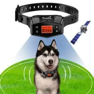 Pawious GPS Wireless Dog Fence - Pet Containment System Range up to 1000 yards Rechargeable Shock Collar for Medium and Large Dogs Outdoor Use