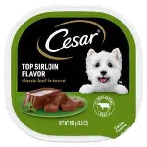 Cesar Cuisine Top Sirloin Dog Food 24/3.5oz