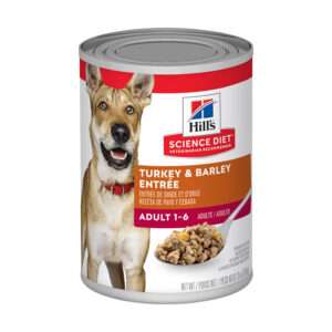 Hill's Science Diet Adult Turkey & Barley Entree Dog Food | 13 oz - 12 pk