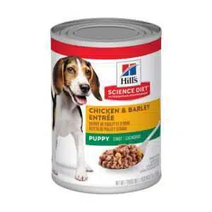 Hill's Science Diet Hill's Science Diet Puppy Chicken & Barley Entree Dog Food | 13 oz - 12 pk