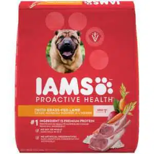 Iams Proactive Health Adult With Grass Fed Lamb Dog Food | 30 lb