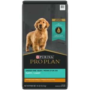 Purina Pro Plan Focus Puppy Chicken & Rice Formula Dog Food | 6 lb