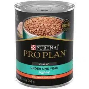 Purina Pro Plan Focus Puppy Classic Chicken & Rice Entree Dog Food | 13 oz - 12 pk