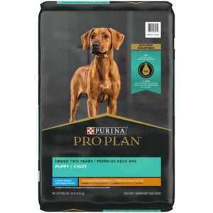Purina Pro Plan Focus Puppy Large Breed Chicken & Rice Formula Dog Food | 34 lb