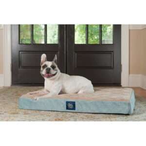 Serta Ortho Quilted Pillow Top Pet Dog Bed Large Blue