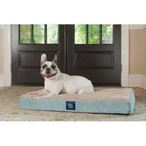 Serta Ortho Quilted Pillow Top Pet Dog Bed Large Blue