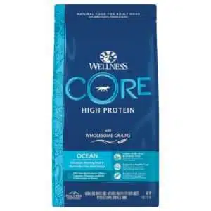 Wellness CORE High Protein Wholesome Grains Ocean Recipe Dry Dog Food - 22 lb Bag
