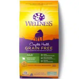 Wellness Complete Health Grain Free Lamb & Lamb Meal Recipe Dog Food | 24 lb