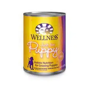 Wellness Complete Health Just For Puppy Pate Dog Food | 12.5 oz - 12 pk