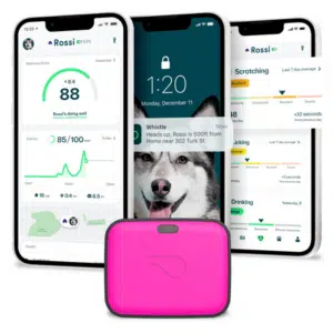 Whistle GO Explore Dog GPS Tracking Device and Pet Health Monitoring System Compatible With Twist & Go Dog Tracking Collar Magenta