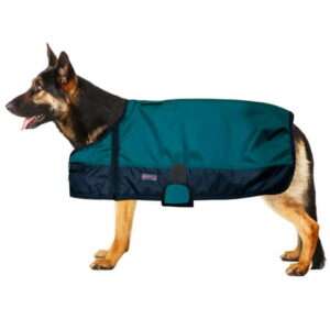 10AD XXS Hilason 200 gsm 1200D Winter Turnout Waterproof Dog Blanket Hunter Green