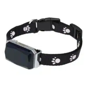 George Pet Positioning Collar Beidou GPS Pet Locator Multifunctional Dog Trackers LBS Intelligent