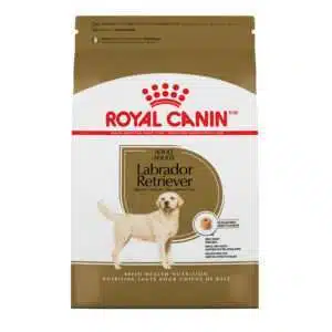 Royal Canin Royal Canin Breed Health Nutrition Labrador Retriever Adult Dry Dog Food, 30lb | 30 lb