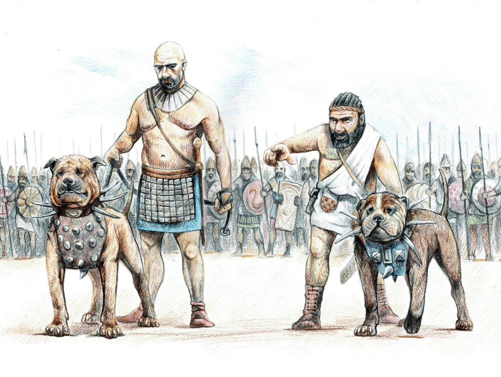 War dogs in Ancient Rome and Greece