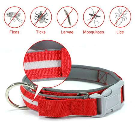 2-in-1 Dogs Collar Replaceable Adjustable Hypoallergenic and Safe Insect Repellent Pet Collar