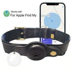 Tracker Collar for Dog Waterproof Location GPS Pet Tracking Smart Collar (Only iOS) Real-Time Tracker Pet Collar