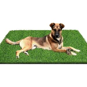 LOMANTOWN Turf Grass for Dogs Artificial Fake Grass Pad Trainer 5 x 6.6 FT Dog Grass Potty Pad