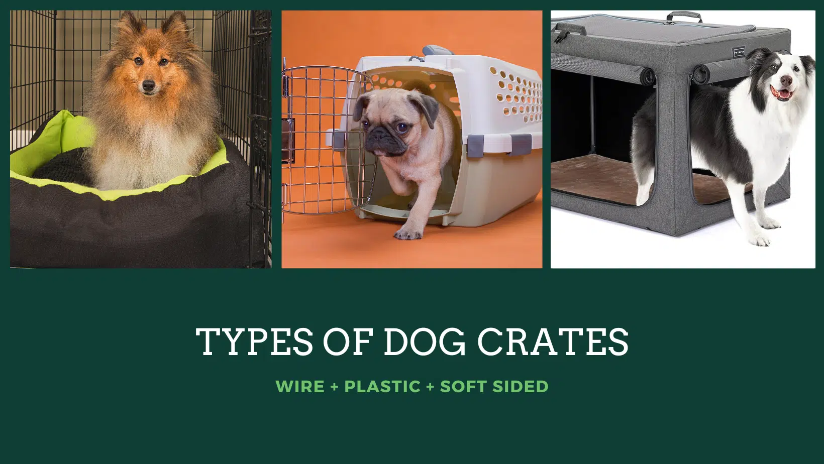 types of dog crates, puppy playpen, dog