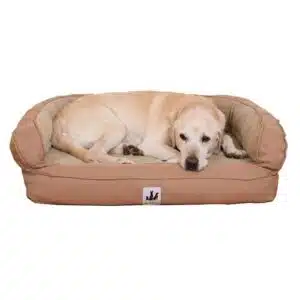 3 Dog Personalized EZ Wash Memory Foam Fleece Bolster Dog Bed, 48" L X 31" W X 10" H, Tan, Large