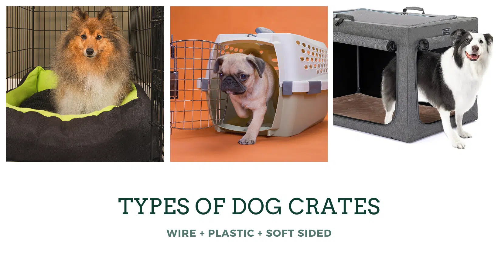 Types of Dog Crates, Wire, Plastic, and Soft sided showing a border collie and a pug