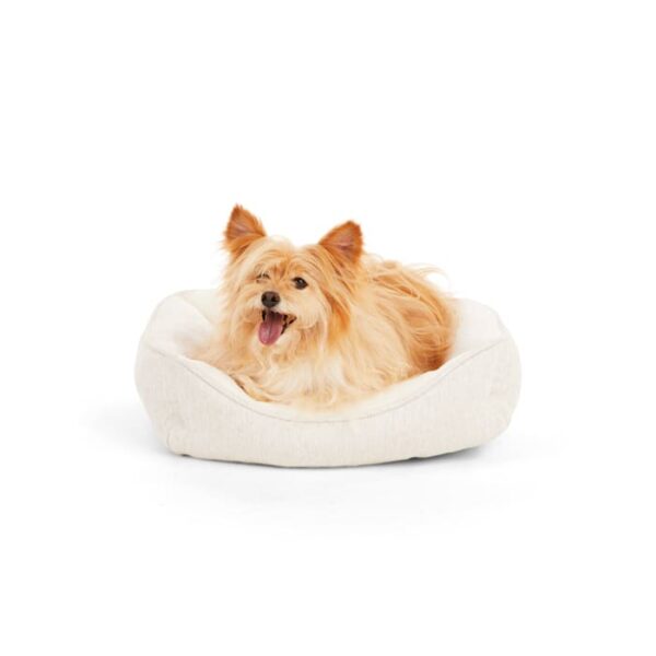 EveryYay Essentials Snooze Fest Brown Melange Knit Nester Dog Bed, 20" L X 17" W, X-Small