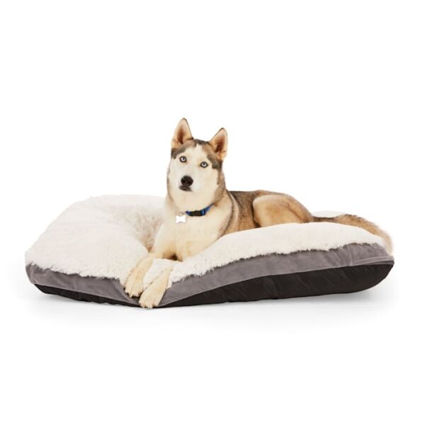 EveryYay Essentials Snooze Fest Lavender-Scented Dog Bed, 36" L X 48" W X 3" H, X-Large
