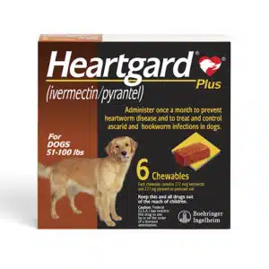 Heartgard Plus Chewables for Dogs 51 to 100 lbs., 6 Month Supply, 6 CT
