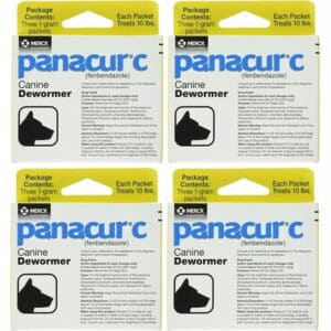 Panacur Canine Dewormer 1 gram (4-Pack)