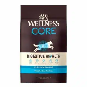 Wellness Core Digestive Health Whitefish Recipe Dry Dog Food - 4 lb Bag