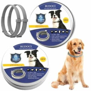 BUDOCI Flea Collar for Dogs 2 Pack Natural Flea and Tick Collar for Dogs 8 Month Prevention Puppys Collars 24 Inch Adjustable Large Collars