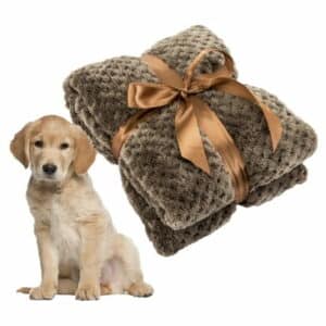 CSCHome Pet Bed Large Dog Blanket Pet Blankets for Small Medium Large Premium Flannel Puppy Bed Pet Supplies