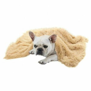 Dog Blanket Super Soft Sherpa Pet Blankets and Throws Sleeping Mat for Small Medium Doggies Puppy Animals 39.37*29.53