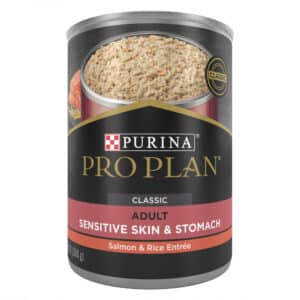Purina Pro Plan Focus Sensitive Skin & Stomach Salmon & Rice Pate Canned Dog Food - 13 oz, case of 12