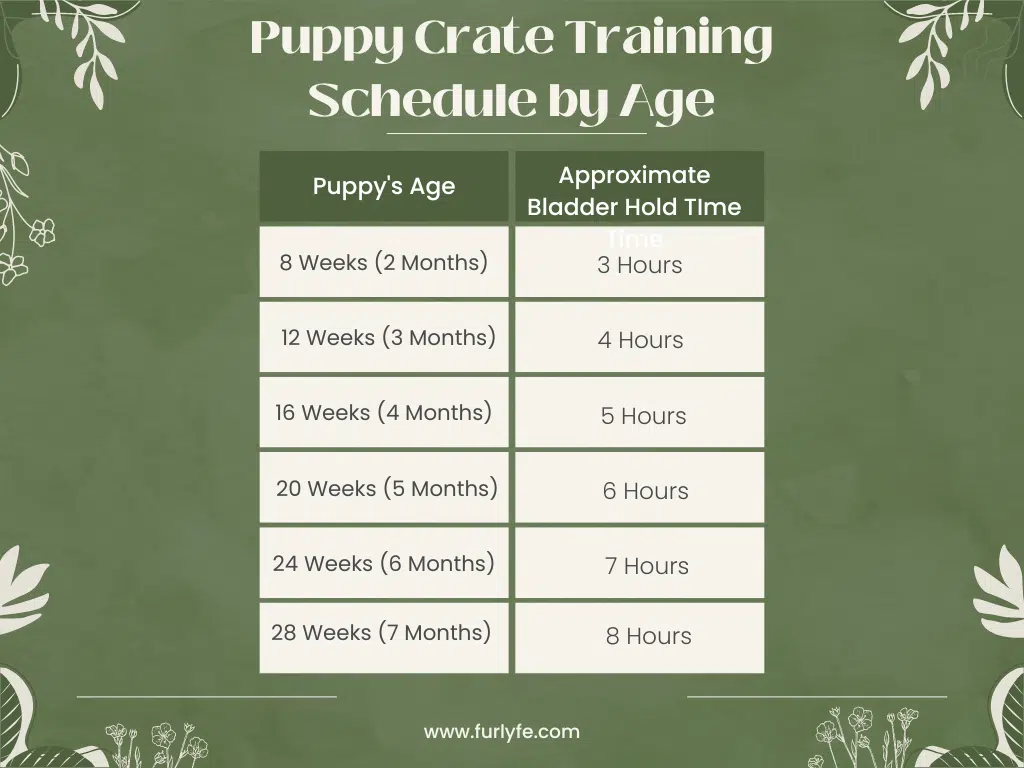 Puppy training schedule by age. Bladder hold times to determine potty break