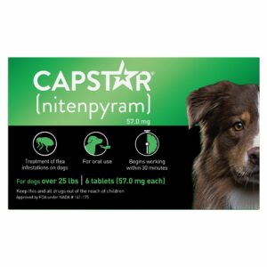 Capstar; Over 25 Lb Dog Flea Treatment - 6 Count | PetSmart