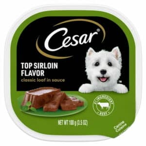 Cesar Classic Loaf In Sauce Top Sirloin Flavor Wet Dog Food (24) 3.5 Oz. Easy Peel Trays