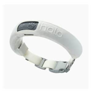 New Halo Collar 3 (Medium/Large Ivory) - Wireless Dog Fence & GPS Dog Collar