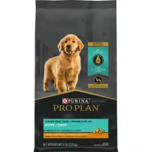 Purina Pro Plan Shredded Chicken & Rice Formula Puppy Dry Dog Food - 6 lb Bag