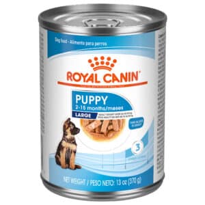 Royal Canin Size Health Nutrition Large Puppy Thin Slices in Gravy Wet Dog Food - 13 oz, case of 13