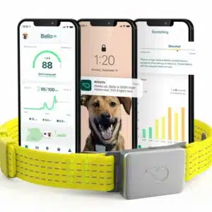 Whistle Switch GPS + Health + Fitness Smart Dog Collar 24/7 Dog GPS Tracker Plus Dog Health & Fitness Monitor Sleek Design Waterproof 2 Rechargeable Batteries for Dogs 5lbs and up (Yellow) XS/