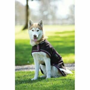 Amigo® Waterproof Dog Blanket (Chocolate/Chocolate/Raspberry XXL)