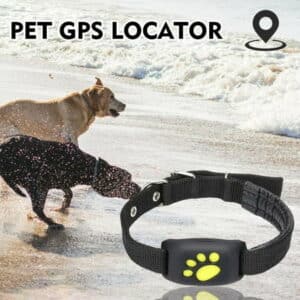GPS Dog And Dog Activity Monitor With Unlimited Range Waterproof