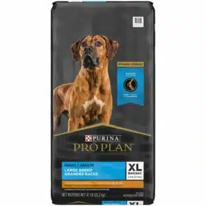 Purina Pro Plan Purina Pro Plan Digestive Health Chicken And Rice Large Breed Adult Formula Dry Dog Food | 47 lb
