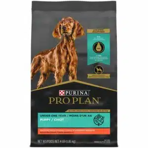 Purina Pro Plan Purina Pro Plan Sensitive Stomach And Stomach Salmon Formula Large Breed Dry Dog Food | 24 lb