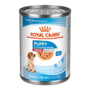 Royal Canin Size Health Nutrition Medium Puppy Thin Slices in Gravy Wet Dog Food - 13 oz, case of 12