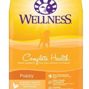 Wellness Complete Health Natural Puppy Chicken, Oatmeal & Salmon Dry Dog Food - 30 lb Bag
