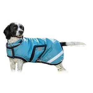 Amigo® Ripstop Waterproof Dog Blanket (XS Delphinium Blue)