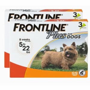 FRONTLINE Plus Flea and Tick Treatment for Dogs (Small Dog 5-22 Pounds 6 Doese)