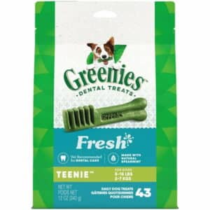 GREENIES TEENIE Natural Dog Dental Care Chews Oral Health Dog Treats Fresh Flavor 12 oz. Pack (43 Treats)